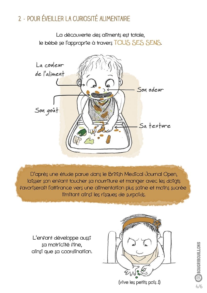 La Diversification Menée par l'enfant (DME) - Partie 4/6 - Affiche Bougribouillons - Récit illustré