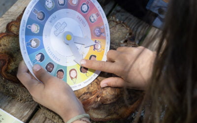 La roue des émotions