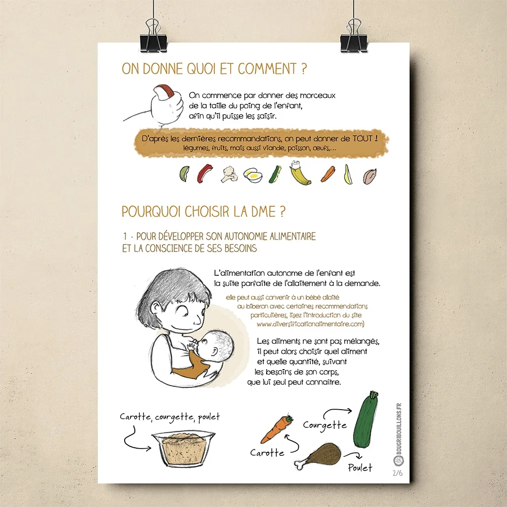 Affiche Bougribouillons Diversification Menée par l'Enfant. Affiche 2/6
