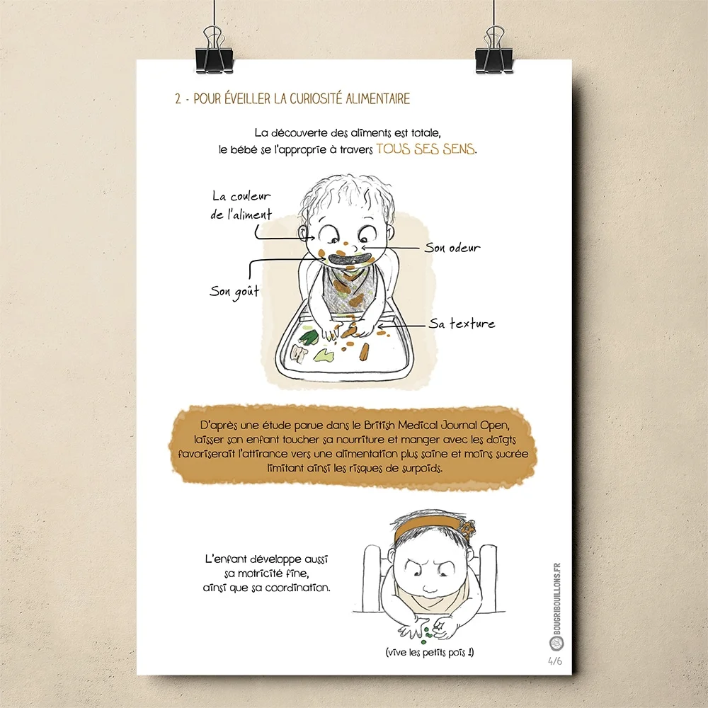 Affiche Bougribouillons Diversification Menée par l'Enfant. Affiche 4/6